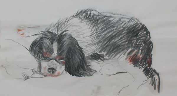 "BAFI", Copyright � 2007 Lucy Elkivity