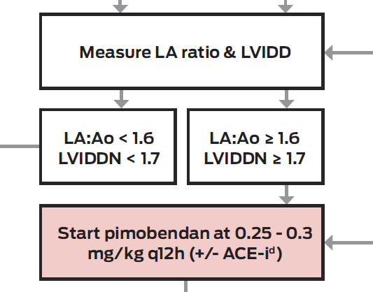 Vetmedin Dose Chart Dog