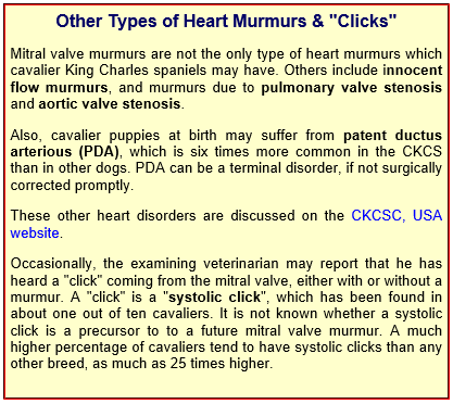 Other Types of Heart Murmurs