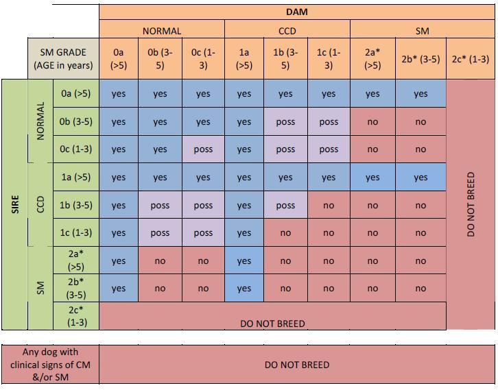 syringomyelia protocol for cavalier king charles king charles spaniel weight chart