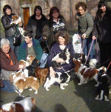 Clare Rusbridge Greeted By 20 cavaliers and the Cavaliergilde Breeders