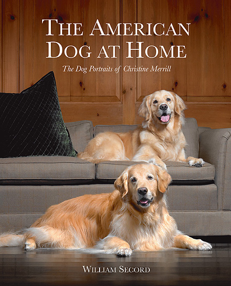 The American Dog At Home