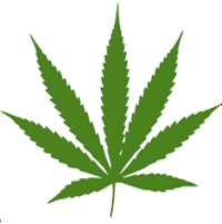 Cannabis leaf