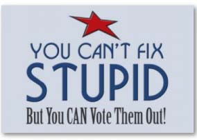 You Can't FIX Stupid, But You CAN Vote Them Out!