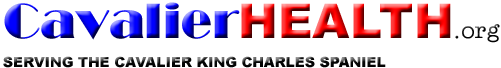 CavalierHealth.org Logo