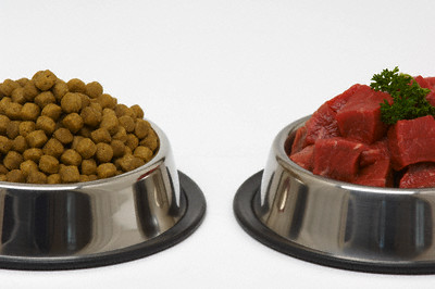 Kibble versus Real Meat