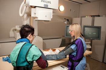 University of California at Davis fluoroscope