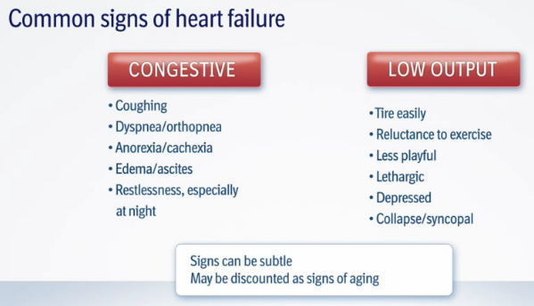 Congestive Heart Failure Stages Chart