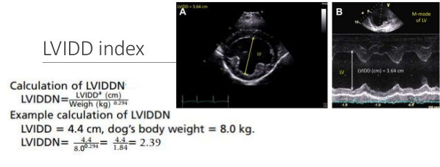 LVIDdN Formula