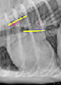 M-VLAS Fig. 1(A) excerpt