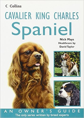 Cavalier King Charles Spaniel by Nick Mays