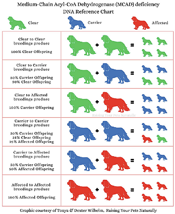 MCT DNA Chart