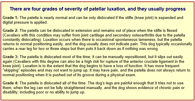 Grades de luxation de la rotule