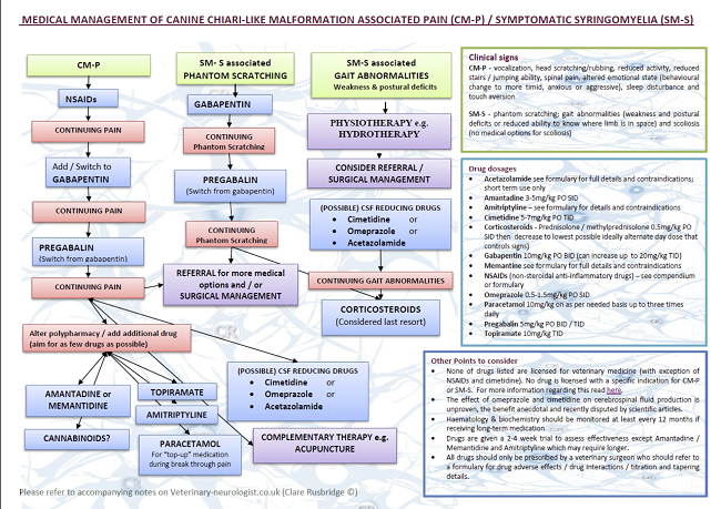 Dr. Rusbridge's 2019 CM/SM Treatment Algorithm