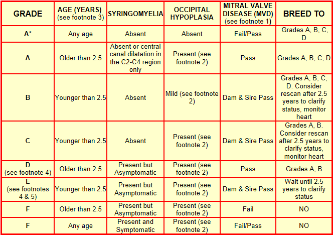 Syrinx Size Chart