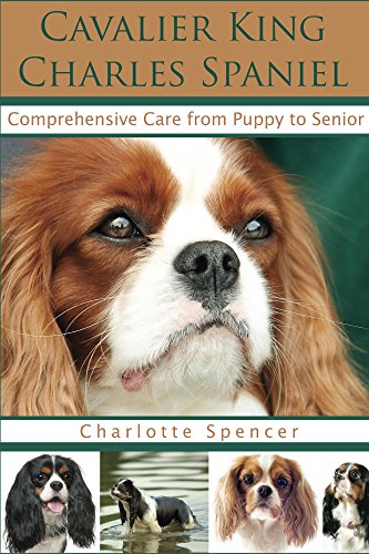Cavalier King Charles Spaniel: Comprehensive Care from Puppy to Senior
