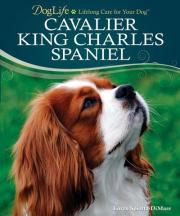Cavalier King Charles Spaniel (DogLife) by Loren Spiotta-DiMare