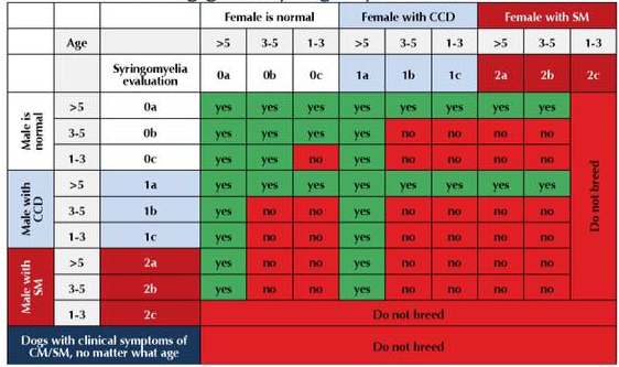 Syrinx Size Chart