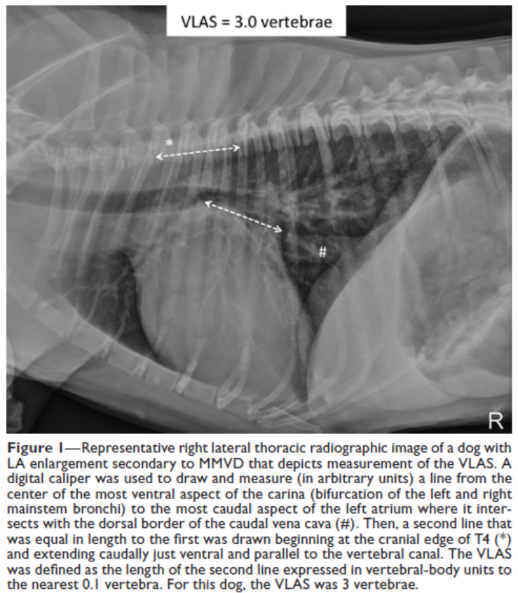 Visser VLAS Measurement -- Fig 1